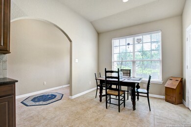 3707 Texas Sotol, San Antonio, TX 78261 - photo 6