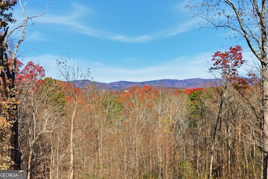 1947 Ivy Mountain Rd, Clarkesville, GA 30523 - photo 2