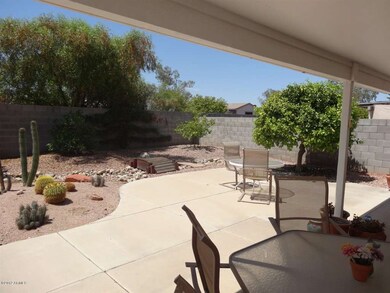 BACK YARD