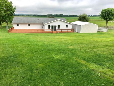 Backyard 1