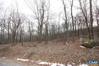 167 Devils Knob Loop, Roseland, VA 22967 - photo 5