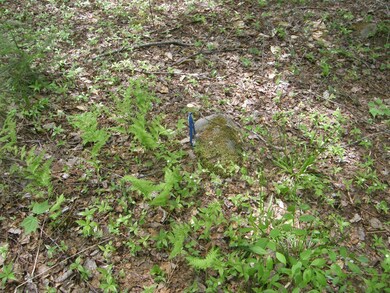 M10L4 Stone Bridge Rd, Garland, ME 04939 - photo 4