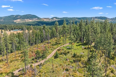 NNA Dry Creek Rd unit Lot 2, Chewelah, WA 99109 - photo 2