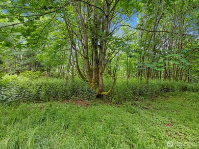 4061 S Eagle Ridge Dr, Camano, WA 98282 - photo 7