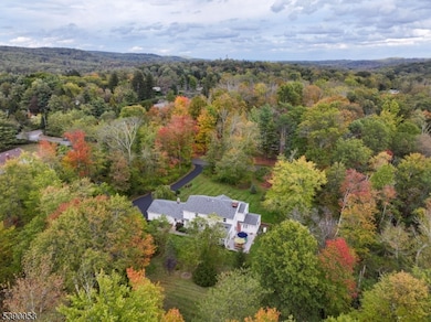 3 Yardley Rd, Mendham, NJ 07945 - photo 4