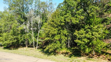 dji_fly_20240712_092714_498_172079447286