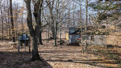 PXL_20230402_153443154