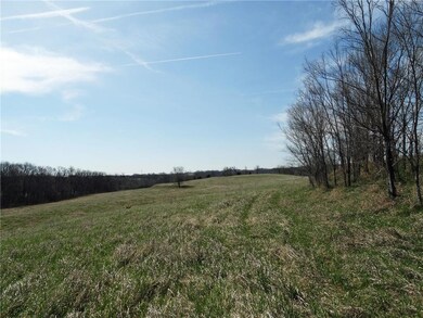 Big Field