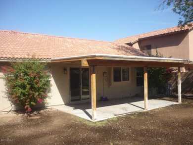 backyard1