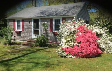 In Bloom