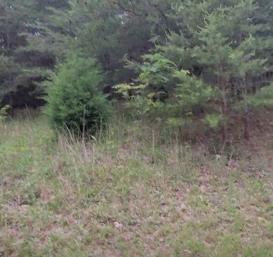 0 Palamino Way unit RTC2884048, Spencer, TN 38585 - photo 5