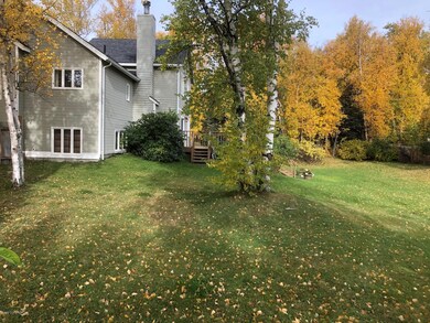 back yard 4