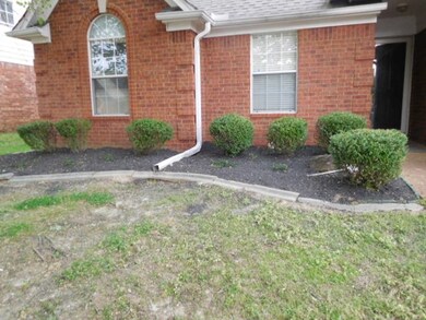 Front flower beds