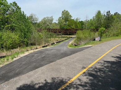 Bridge and Greenway