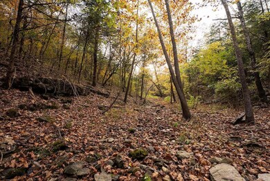 0 Cr 663, Oak Grove, AR 72660 - photo 5