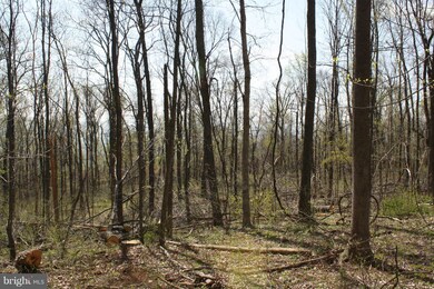 0 Blueridge Mountain Rd unit 1000714459, Bluemont, VA 20135 - photo 5