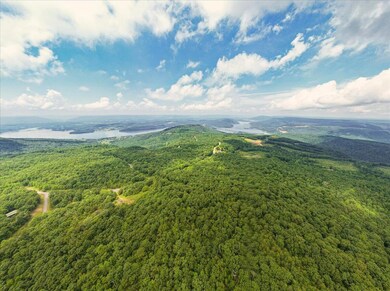 04-DJI_0223