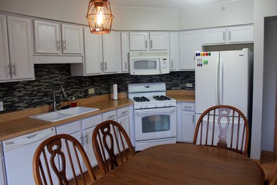 14100 Sheffield Dr unit 304, Homer Glen, IL 60491 - photo 5