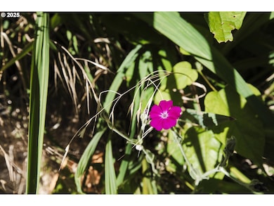 811 NE Clyde Place unit 116 C, Grants Pass, OR 97526 - photo 5