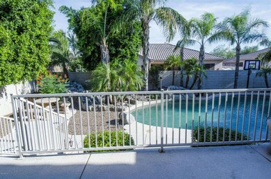 Backyard 5