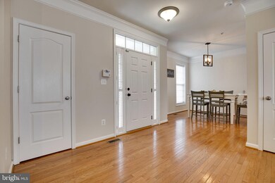 41940 Blue Flag Terrace, Stone Ridge, VA 20105 - photo 7