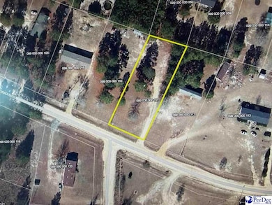 Lot 77 Murray Ln, McBee, SC 29101 - photo 2