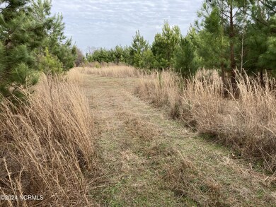 0 N Broadridge Rd unit 100444947, Orrum, NC 28369 - photo 5