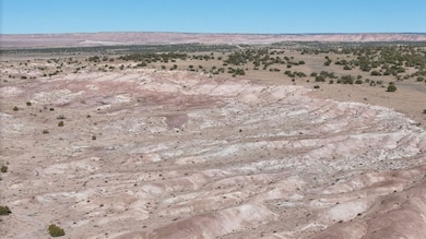 Unnamed Dirt Rd unit Apache AZ, Sanders, AZ 85936 - photo 7
