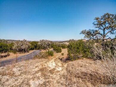 10411 Doherty Springs, San Antonio, TX 78255 - photo 5
