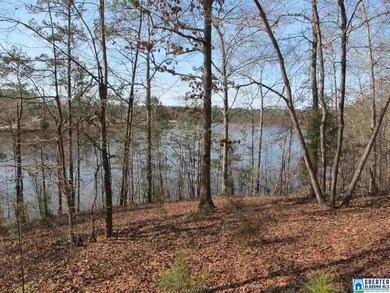 0 County Road 256 unit 773940, Wedowee, AL 36278 - photo 5