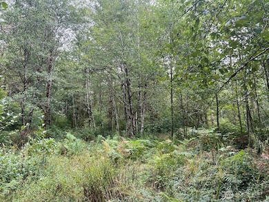 8822 Sherman Valley Rd SW, Olympia, WA 98512 - photo 5