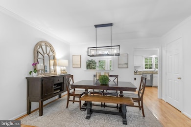 11752 Great Owl Cir, Reston, VA 20194 - photo 3