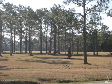 bsl golf