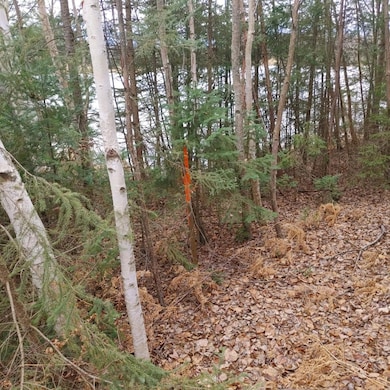 Lot 31 Shady Knoll Rd unit Lot 31, Fifield, WI 54552 - photo 6