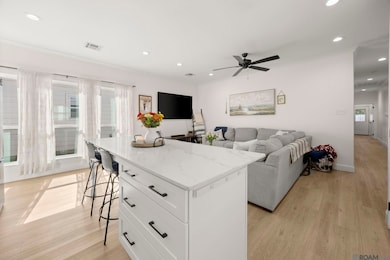 810 S Audubon Place Ave, Gonzales, LA 70737 - photo 5