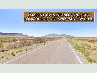 Deming Lun unit a New Mexico, Sunshine, NM 88030 - photo 7