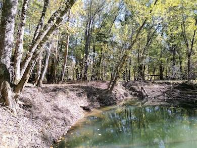 1462 Keystone Rd, Vinton, OH 45686 - photo 4