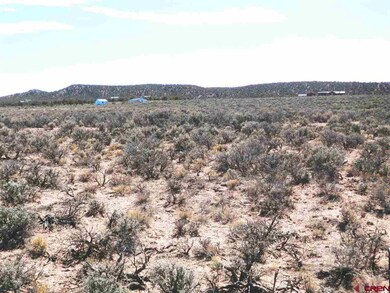 0 Trinchera Ranch Rd N unit 686005, Fort  Garland, CO 81133 - photo 7