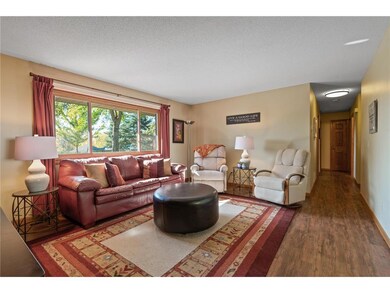 Sunny Living Room