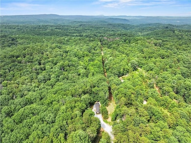 Bird's eye view of a heavily wooded area