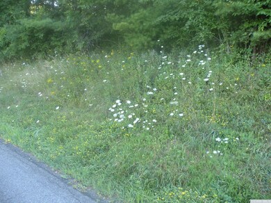 322 Mitchell St, Hillsdale, NY 12529 - photo 5