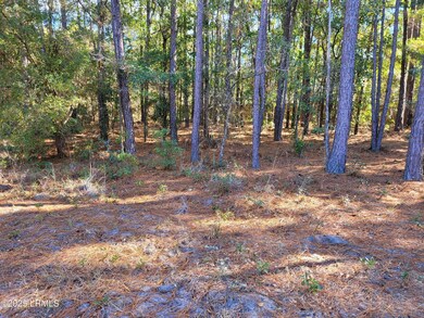 TBD Beavers Rd, Ridgeland, SC 29936 - photo 7