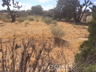 0 Indio Ave unit OC17204566, Yucca Valley, CA 92284 - photo 2