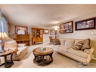 11582 Albion St, Thornton, CO 80233 - photo 4