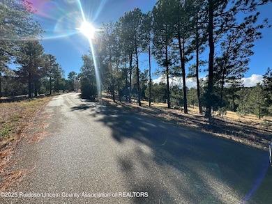 Lot 152 Del Monte Dr, Alto, NM 88312 - photo 3