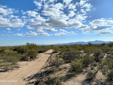 Photo Nov 05 2025, 3 20 11 PM-min