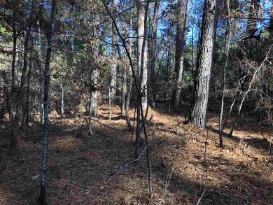 0 Highway 405 unit 3.9 1315307, Oxford, MS 38655 - photo 5