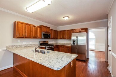 12501 Hawks Ridge Rd, Huntersville, NC 28078 - photo 6