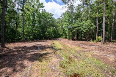 227 State Road S-32-145 unit LOT 3, Lexington, SC 29072 - photo 6