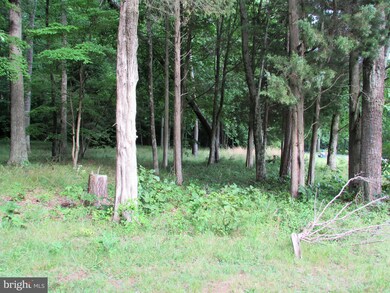 7101 Old Dickersons Rd unit 122, Orange, VA 22960 - photo 2